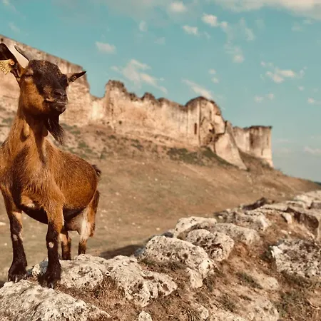 Chez Ric Et Fer 3* Coucy-le-Château-Auffrique