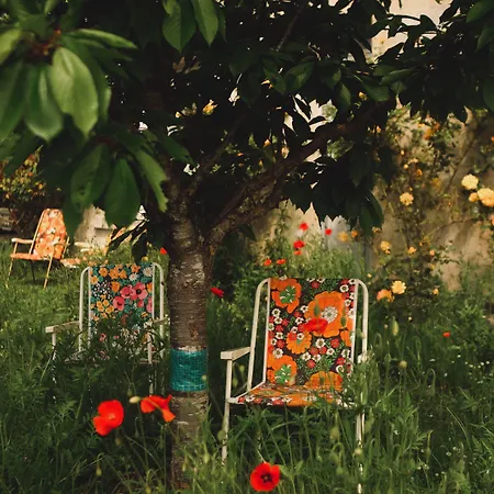 Couette-café Chez Ric Et Fer Coucy-le-Château-Auffrique