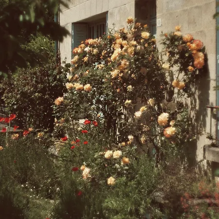Chez Ric Et Fer Couette-café Coucy-le-Château-Auffrique