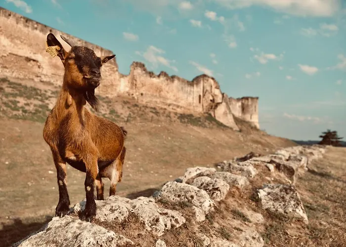 Chez Ric Et Fer 3* Coucy-le-Château-Auffrique