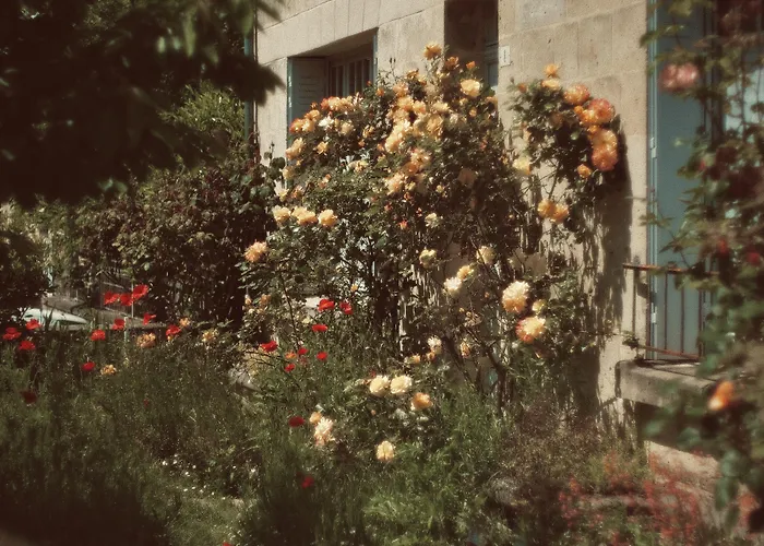 Chez Ric Et Fer Couette-café Coucy-le-Château-Auffrique